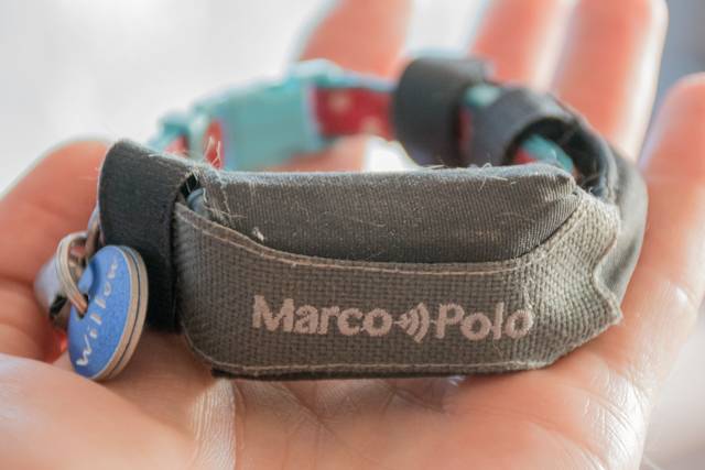 Marco Polo Pet Tracker collar tag for cat