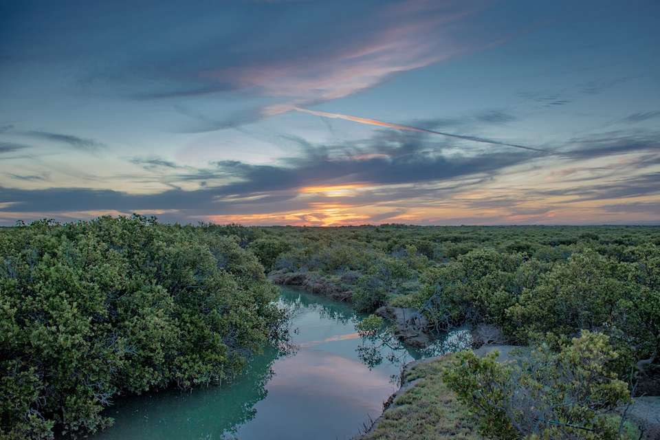 Port Germein Mangroves Sunset