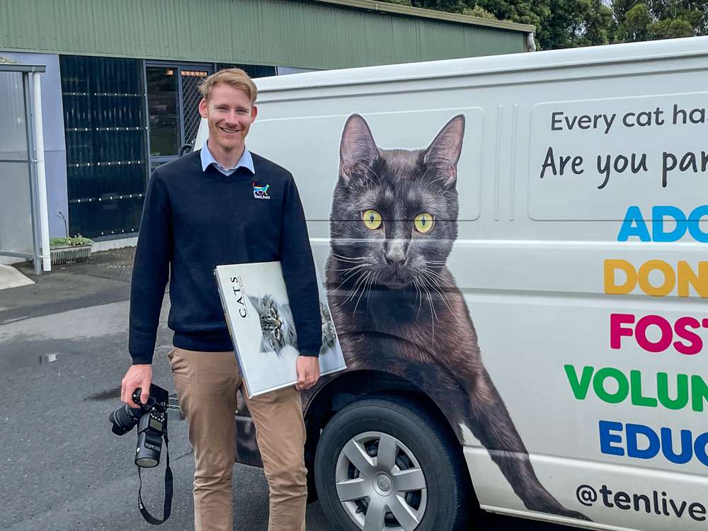 6 Things I learnt From Spending 18 Months Working At A Cat Shelter