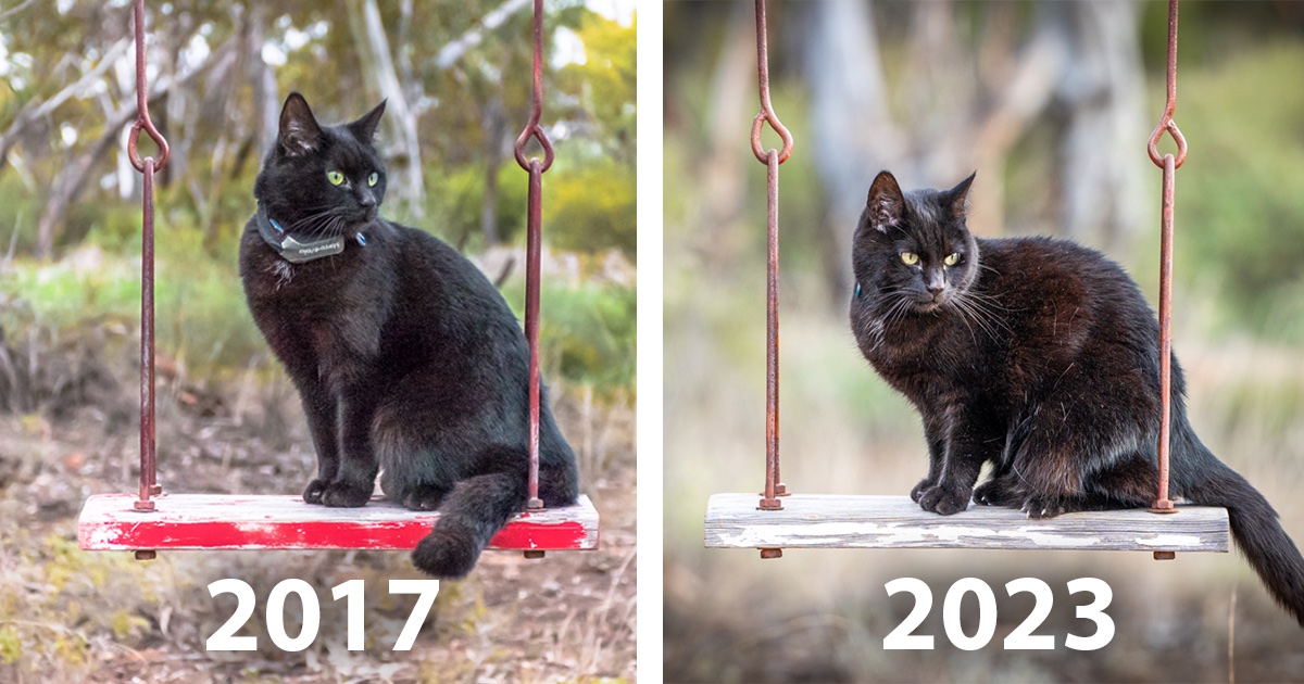 Six Years Apart: Willow Sitting on the Same Swing, a Tale of Nostalgia and Decay at Clements Gap